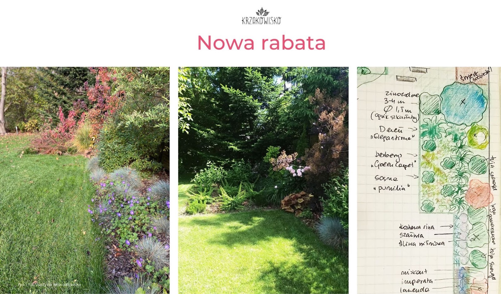 nowa rabat w ogrodzie