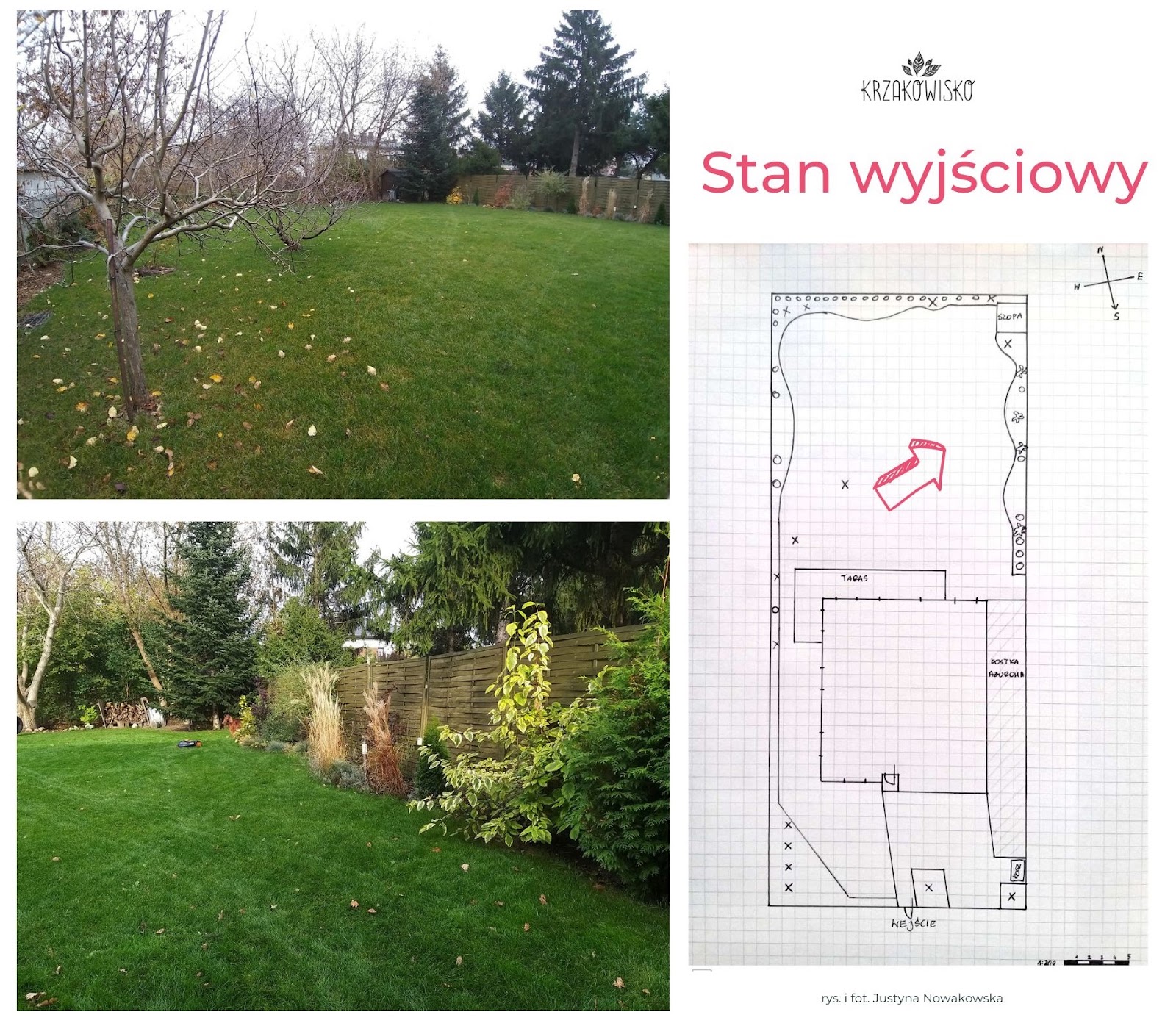ogród pod Warszawą stan wyjściowy