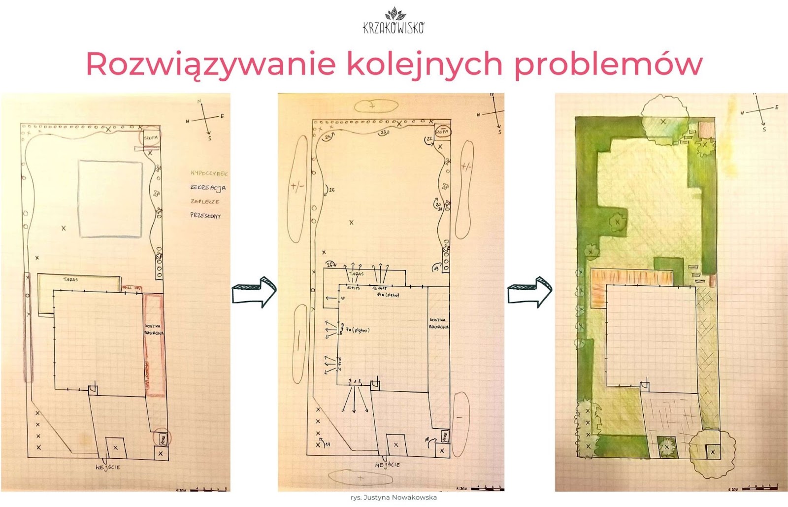 etapy planowania ogrodu