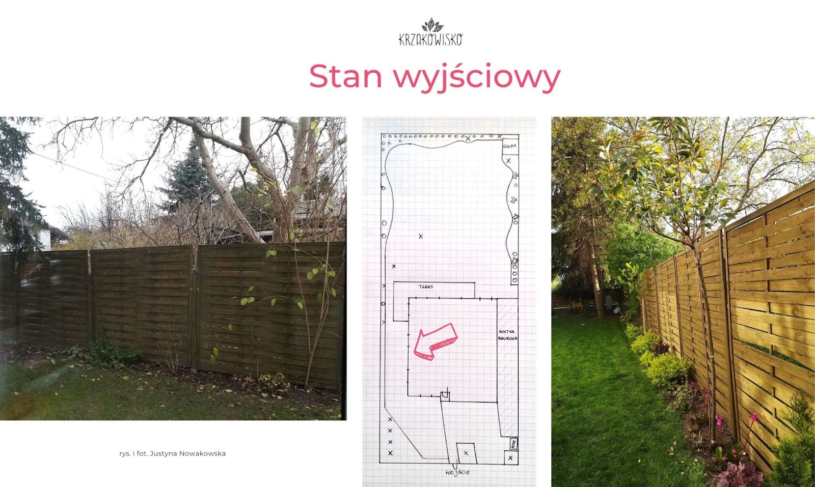 ogród Warszawa stan wyjściowy