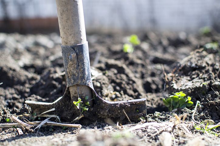Sprawdź 3 sposoby na początek ogrodu - samodzielna praca
