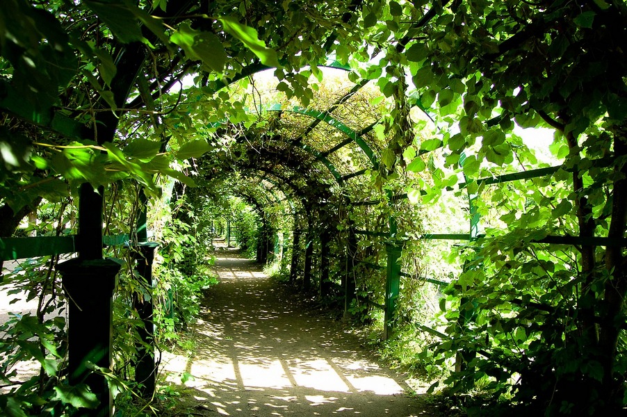 tajemniczy-ogrod-tunel