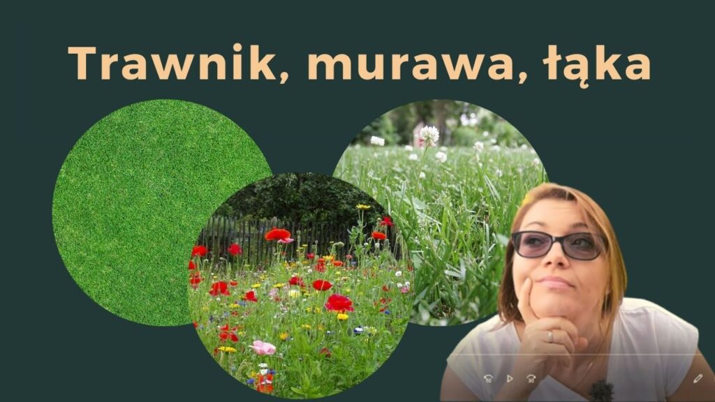 trawnik w ekologicznym ogrodzie